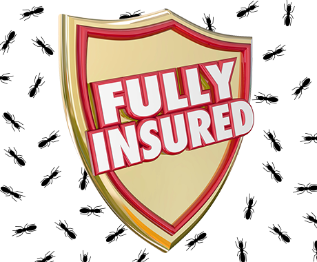 Fully Insured